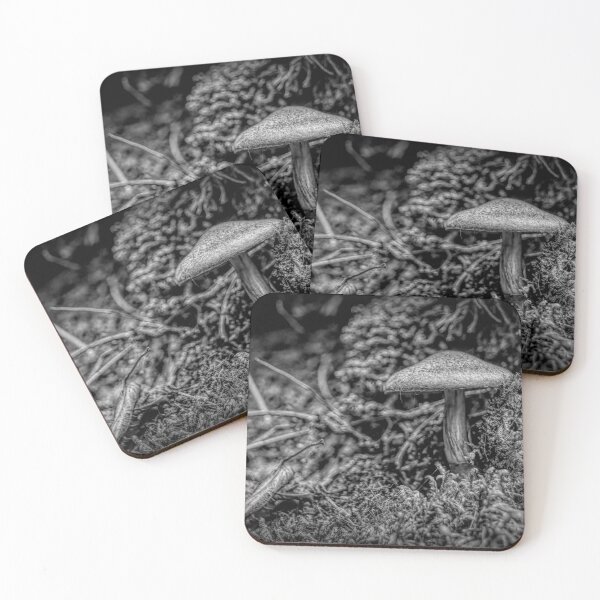 Item preview, Mushroom on Agawa Bay Trail, Lake Superior, BW designed and sold by jrtwynam.