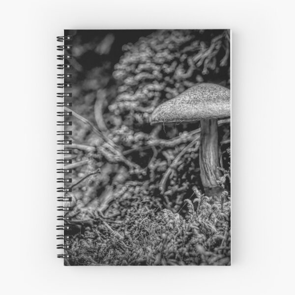 Item preview, Mushroom on Agawa Bay Trail, Lake Superior, BW designed and sold by jrtwynam.