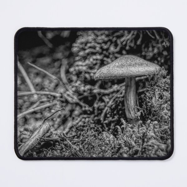 Item preview, Mushroom on Agawa Bay Trail, Lake Superior, BW designed and sold by jrtwynam.