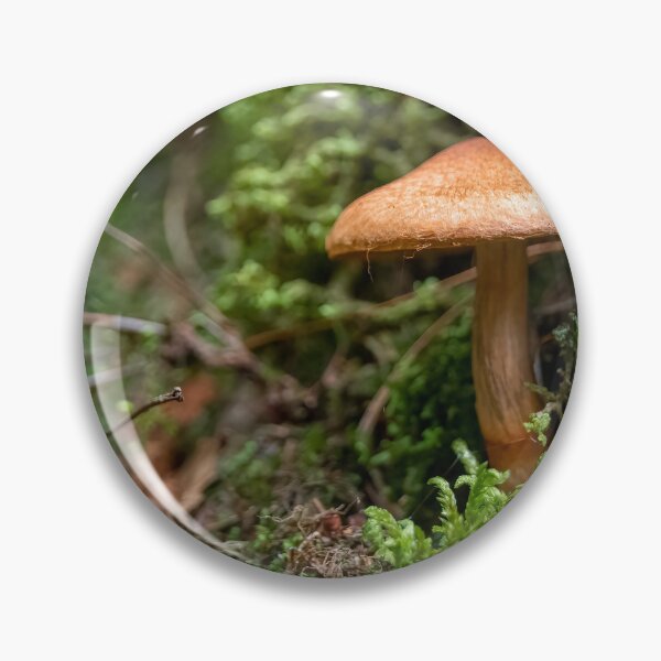 Item preview, Mushroom on Agawa Bay Trail, Lake Superior designed and sold by jrtwynam.