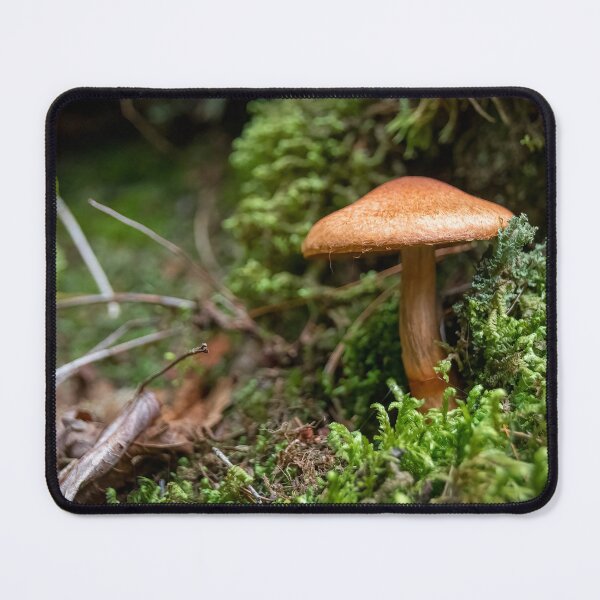 Item preview, Mushroom on Agawa Bay Trail, Lake Superior designed and sold by jrtwynam.