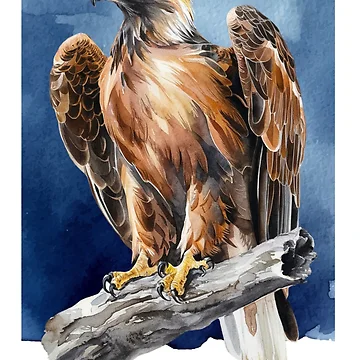 Artwork thumbnail, Watercolor Eagle by RWCarpenter