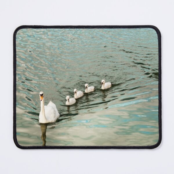 Item preview, Swans On the Rhone River designed and sold by Kay Brewer.
