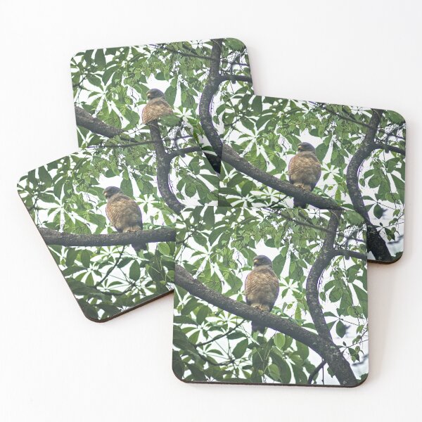 Item preview, Hla hawk designed and sold by pcfyi.