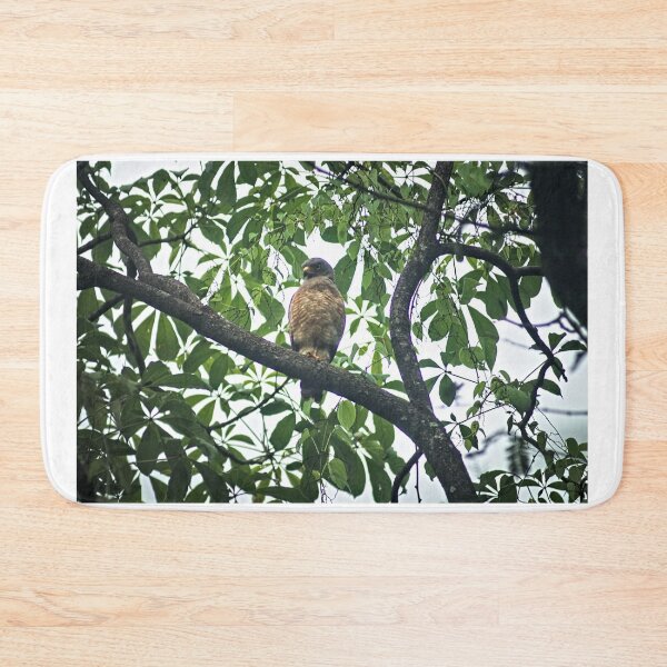 Item preview, Hla hawk designed and sold by pcfyi.