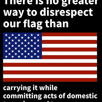 Artwork thumbnail, Respect our flag by Rachel the Artist