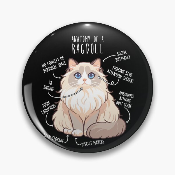 Item preview, Ragdoll Cat Anatomy designed and sold by Clara Hollins.