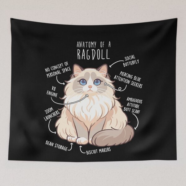 Item preview, Ragdoll Cat Anatomy designed and sold by Clara Hollins.