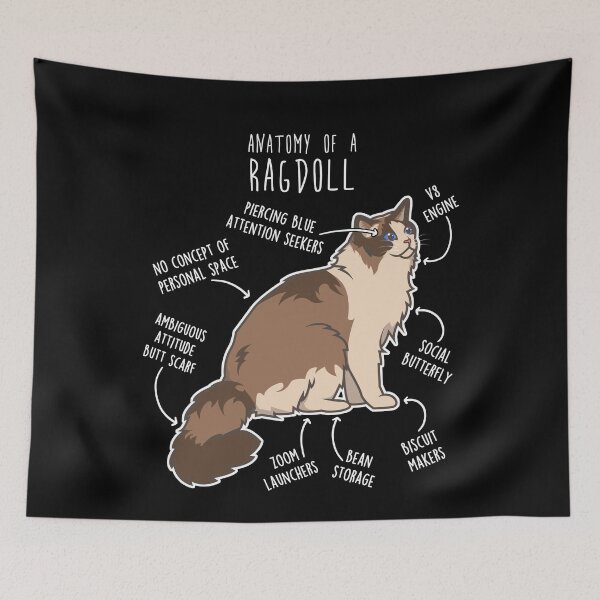 Item preview, Seal Bicolor Ragdoll Cat Anatomy designed and sold by Clara Hollins.
