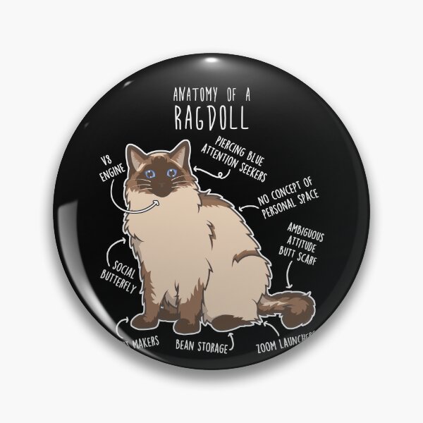 Item preview, Seal Ragdoll Cat Anatomy designed and sold by Clara Hollins.