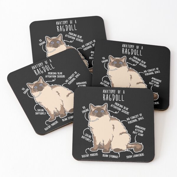 Item preview, Seal Ragdoll Cat Anatomy designed and sold by Clara Hollins.