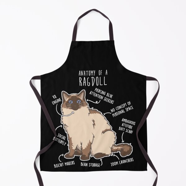 Item preview, Seal Ragdoll Cat Anatomy designed and sold by Clara Hollins.