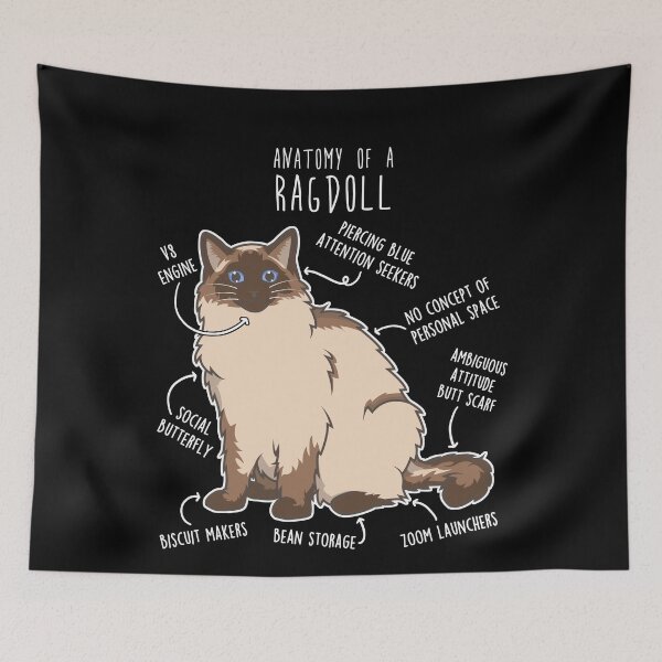 Item preview, Seal Ragdoll Cat Anatomy designed and sold by Clara Hollins.