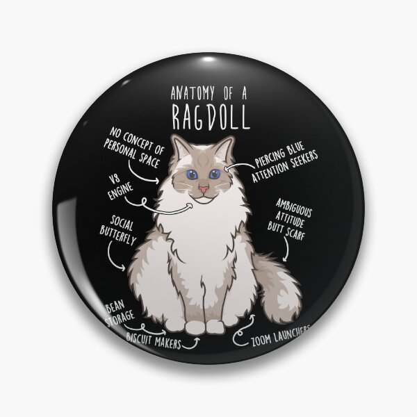 Item preview, Ragdoll Cat Anatomy designed and sold by Clara Hollins.