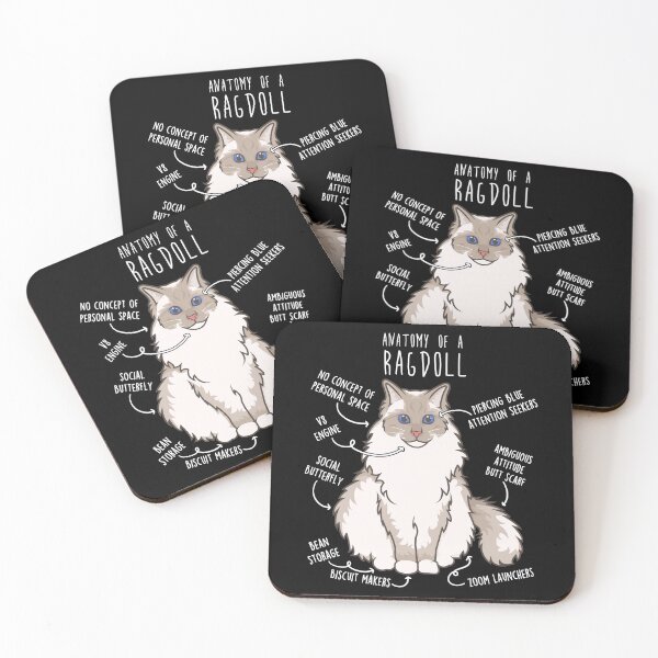 Item preview, Ragdoll Cat Anatomy designed and sold by Clara Hollins.