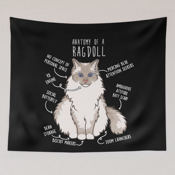 Item preview, Ragdoll Cat Anatomy designed and sold by Clara Hollins.