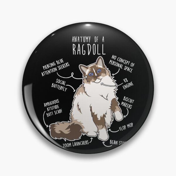 Item preview, Ragdoll Cat Anatomy designed and sold by Clara Hollins.