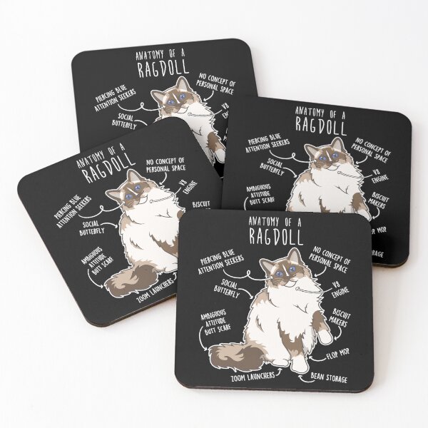 Item preview, Ragdoll Cat Anatomy designed and sold by Clara Hollins.