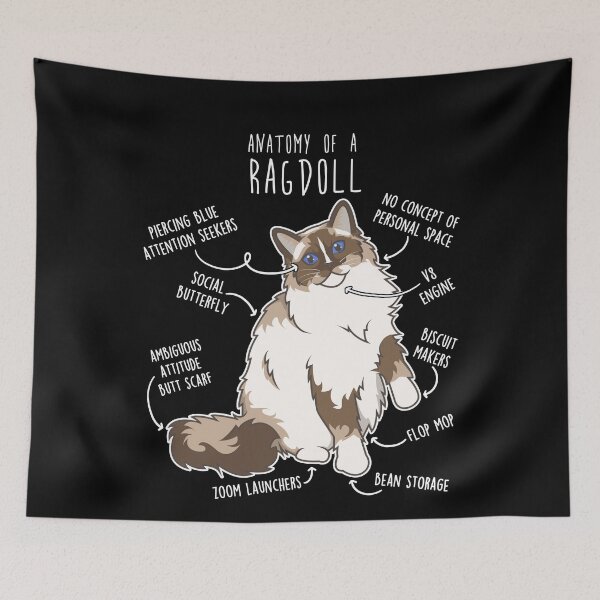 Item preview, Ragdoll Cat Anatomy designed and sold by Clara Hollins.