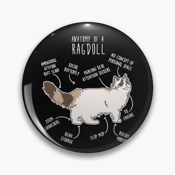 Item preview, Ragdoll Cat Anatomy designed and sold by Clara Hollins.