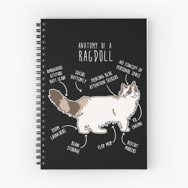 Item preview, Ragdoll Cat Anatomy designed and sold by Clara Hollins.