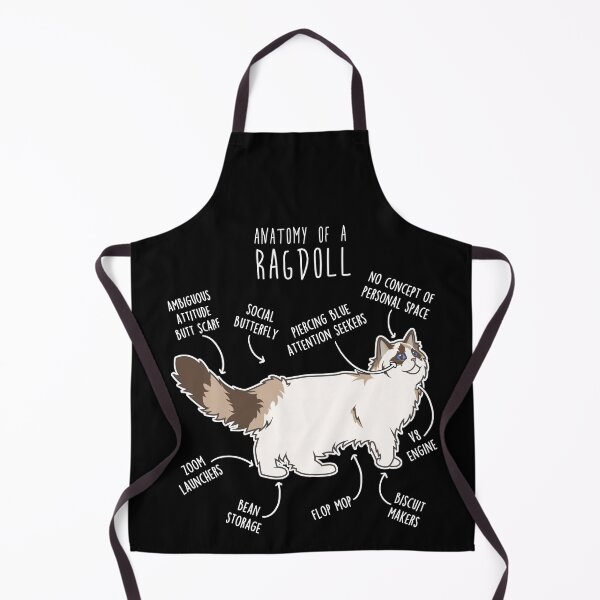 Item preview, Ragdoll Cat Anatomy designed and sold by Clara Hollins.