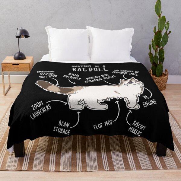 Item preview, Ragdoll Cat Anatomy designed and sold by Clara Hollins.