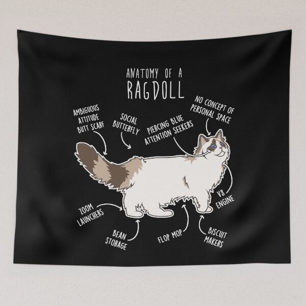 Item preview, Ragdoll Cat Anatomy designed and sold by Clara Hollins.