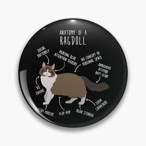 Item preview, Bicolor Ragdoll Cat Anatomy designed and sold by Clara Hollins.