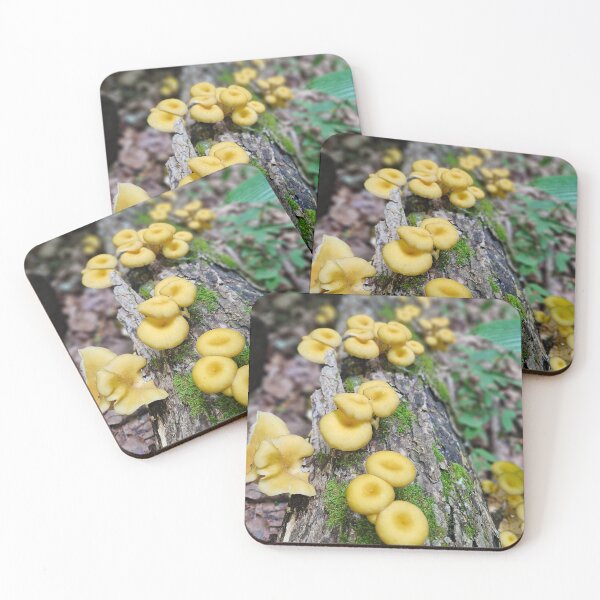 Item preview, Wild Mushrooms designed and sold by rsandstedt5386.