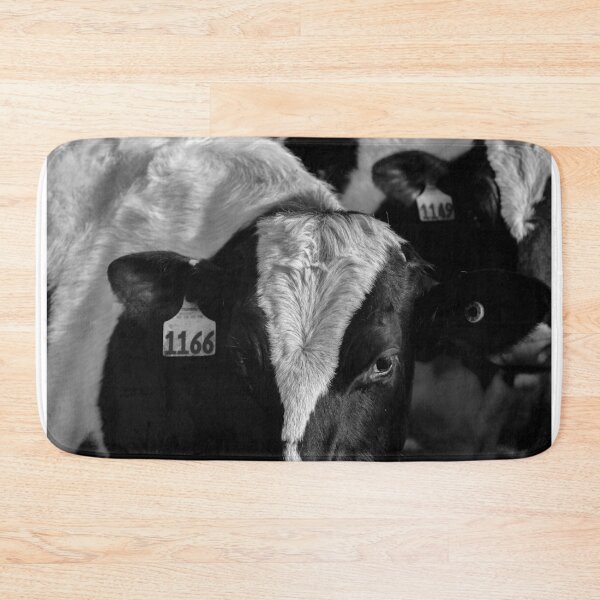 Item preview, Black and White Cow Farm Animal Landscape Photograph designed and sold by ehlphotography.