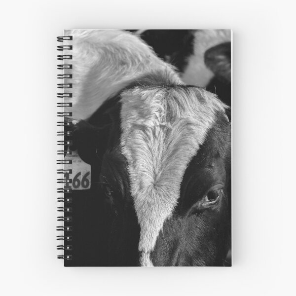 Item preview, Black and White Cow Farm Animal Landscape Photograph designed and sold by ehlphotography.