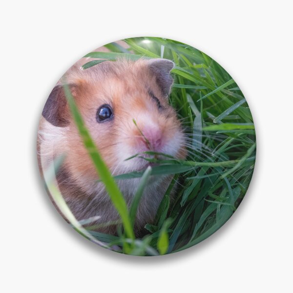 Item preview, Cute Furry Hamster in a Grassy Field designed and sold by jrtwynam.