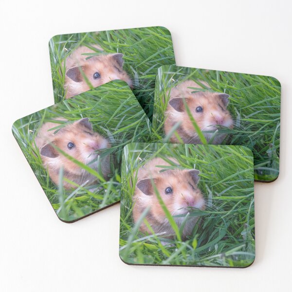 Item preview, Cute Furry Hamster in a Grassy Field designed and sold by jrtwynam.
