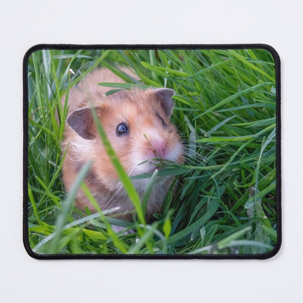 Item preview, Cute Furry Hamster in a Grassy Field designed and sold by jrtwynam.