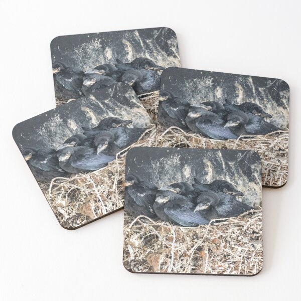 Item preview, Crow Chicks designed and sold by Belinda Greb Photography.