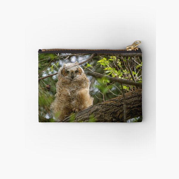 Item preview, Great Horned Owlet at Malheur HQ designed and sold by Belinda Greb Photography.