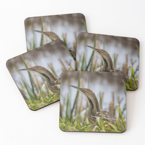 Item preview, American Bittern at Malheur NWR designed and sold by Belinda Greb Photography.