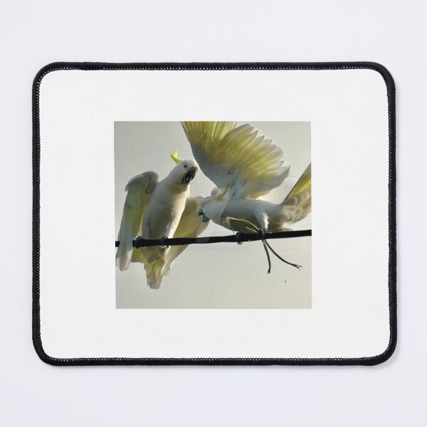 Item preview, COCKATOOS SQUABBLING designed and sold by trevorp.