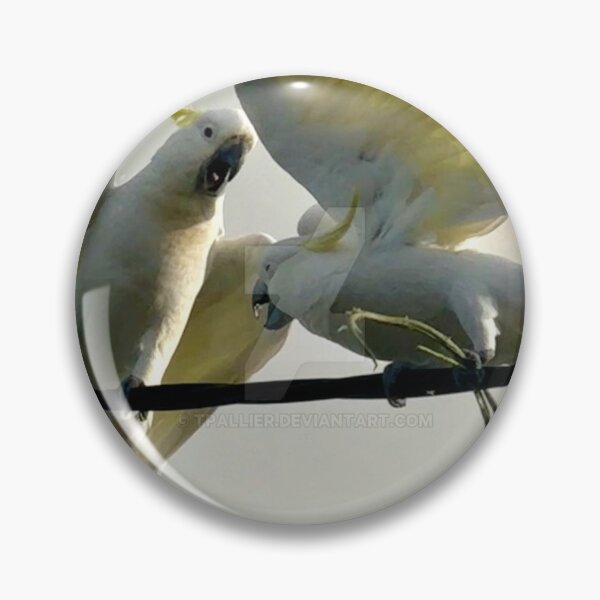 Item preview, COCKATOOS SQUABBLING designed and sold by trevorp.