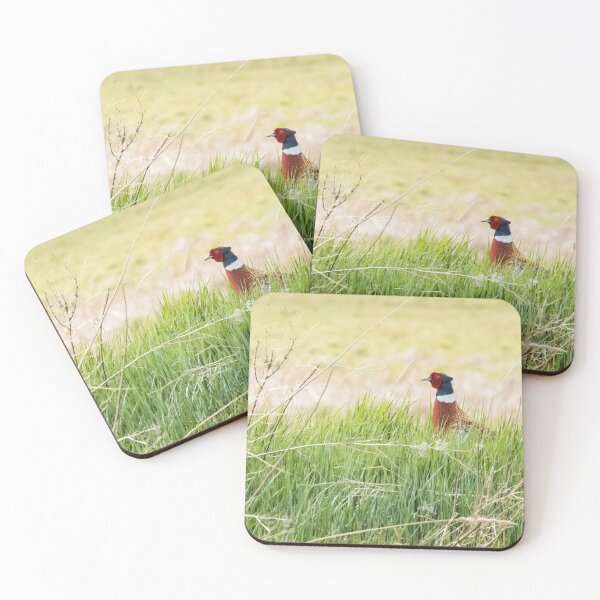 Item preview, Ring-necked Pheasant in Green Grass at Malheur NWR designed and sold by Belinda Greb Photography.