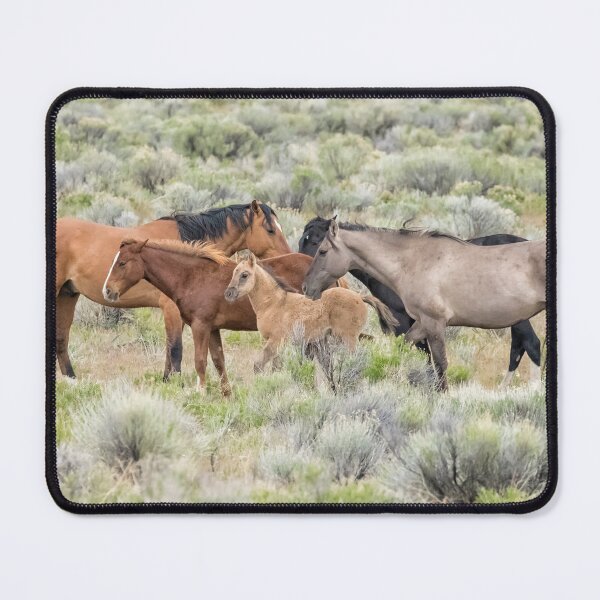 Item preview, Tightly Knit - A South Steens Band of Wild Horses designed and sold by Belinda Greb Photography.