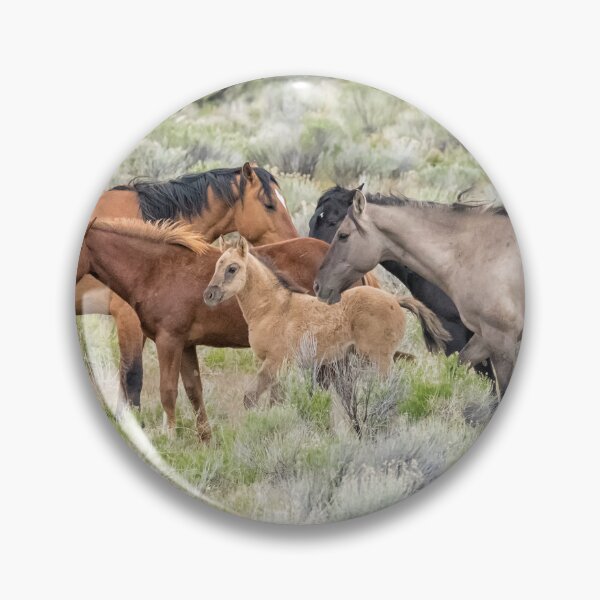 Item preview, Tightly Knit - A South Steens Band of Wild Horses designed and sold by Belinda Greb Photography.