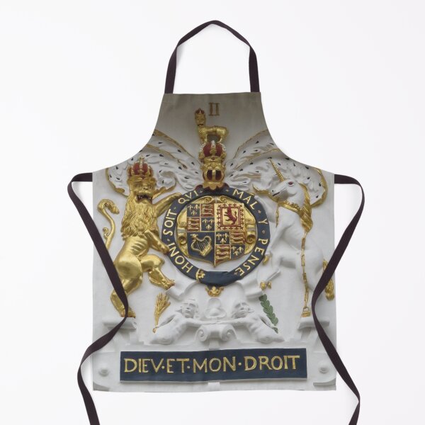 Item preview, Royal Arms, Charles 11, Ancient House, Ipswich designed and sold by wiggyofipswich.