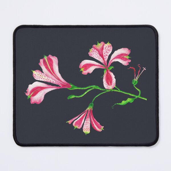 Item preview, Pink Lily designed and sold by zibziby.