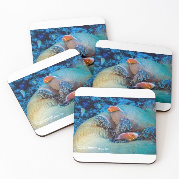 Item preview, Pink anemonefish at home designed and sold by tank200bar.