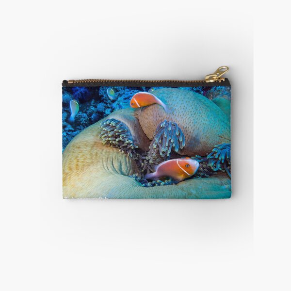 Item preview, Pink anemonefish at home designed and sold by tank200bar.