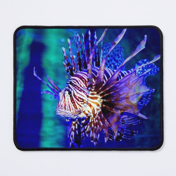 Item preview, Lionfish designed and sold by Savannah Gibbs.