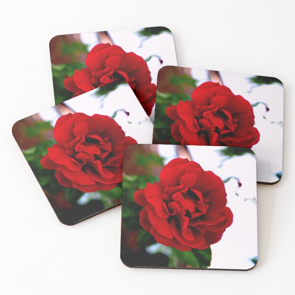 Item preview, FLOWER SERIES 1 Scarlet Delight Floating Rose Greeting designed and sold by MarcusAxel.