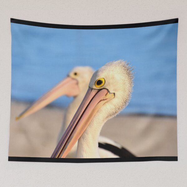 Item preview, PELICAN PORTRAIT, MAKES GREAT PHONE COVERS designed and sold by Barbara Jean Photo Art And Design.
